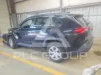 2020 Toyota RAV4 photo