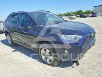 2020 Toyota RAV4 photo