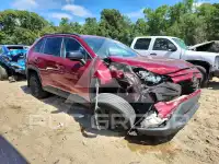 2020 Toyota RAV4 photo