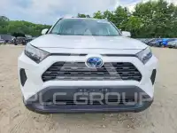 2020 Toyota RAV4 photo