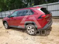 2020 Toyota RAV4 photo