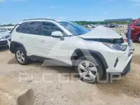 2020 Toyota RAV4 фото