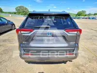 2020 Toyota RAV4 photo