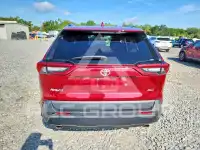 2020 Toyota RAV4 фото