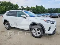2020 Toyota RAV4 photo