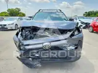 2020 Toyota RAV4 photo
