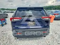 2020 Toyota RAV4 photo