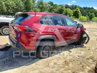 2020 Toyota RAV4 photo