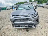 2020 Toyota RAV4 фото