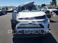2020 Toyota RAV4 фото