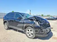 2020 Toyota RAV4 photo