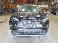 2020 Toyota RAV4 photo