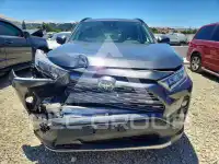 2020 Toyota RAV4 фото