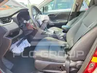 2020 Toyota RAV4 photo