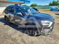 2020 Toyota RAV4 photo
