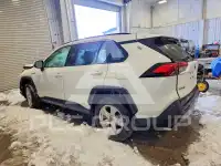 2020 Toyota RAV4 фото