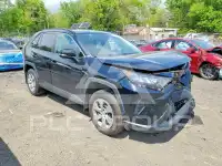 2020 Toyota RAV4 photo