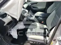 2020 Toyota RAV4 photo