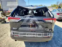 2020 Toyota RAV4 photo