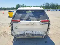 2020 Toyota RAV4 photo