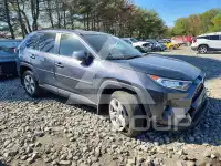 2020 Toyota RAV4 photo