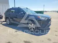 2020 Toyota RAV4 photo