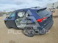 2020 Toyota RAV4 photo