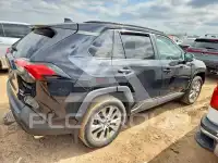 2020 Toyota RAV4 photo