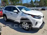 2020 Toyota RAV4 фото