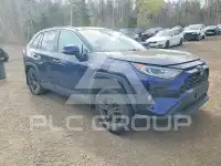 2020 Toyota RAV4 photo