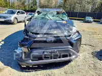 2020 Toyota RAV4 photo