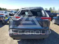 2020 Toyota RAV4 photo