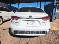 2020 Toyota COROLLA photo