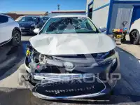 2020 Toyota COROLLA фото