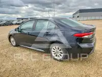 2020 Toyota COROLLA photo
