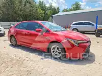 2020 Toyota COROLLA photo