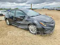 2020 Toyota COROLLA photo