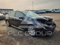 2020 Toyota COROLLA photo