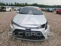 2020 Toyota COROLLA photo