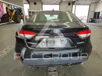 2020 Toyota COROLLA фото