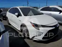2020 Toyota COROLLA photo