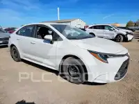 2020 Toyota COROLLA photo