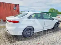 2020 Toyota COROLLA photo