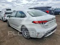 2020 Toyota COROLLA photo