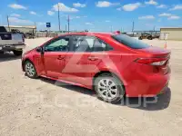 2020 Toyota COROLLA photo