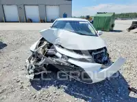 2020 Toyota COROLLA фото