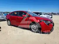 2020 Toyota COROLLA photo
