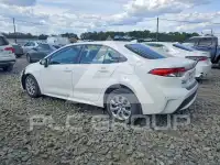 2020 Toyota COROLLA photo