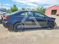 2020 Toyota COROLLA photo