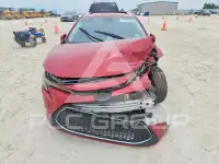 2020 Toyota COROLLA photo